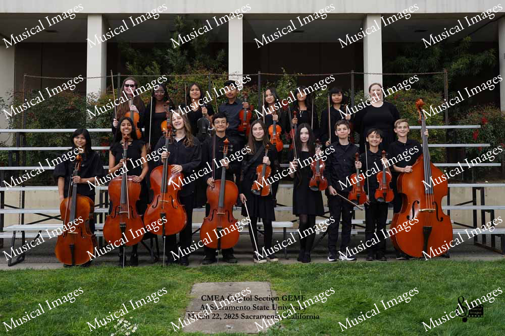 Musical Images